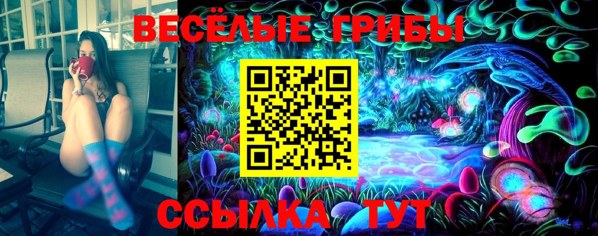 Костомукша  Псилоцибиновые грибы Psilocybe  Вход с VPN 